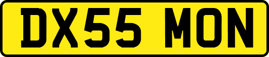 DX55MON