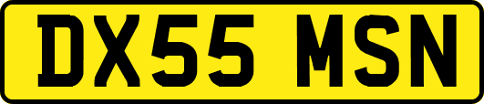 DX55MSN