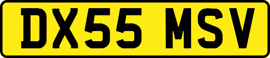 DX55MSV