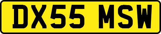 DX55MSW