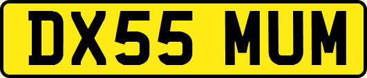 DX55MUM
