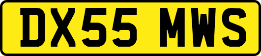 DX55MWS