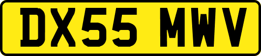 DX55MWV