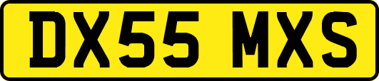 DX55MXS