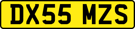 DX55MZS