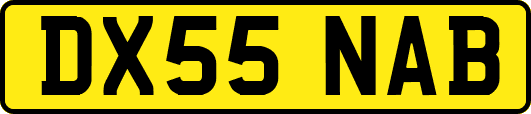 DX55NAB
