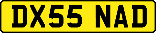 DX55NAD