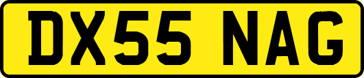DX55NAG
