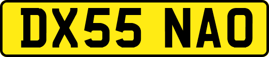 DX55NAO