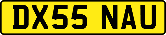 DX55NAU