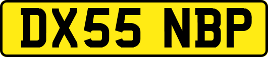 DX55NBP