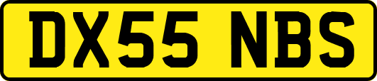 DX55NBS