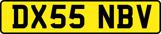 DX55NBV