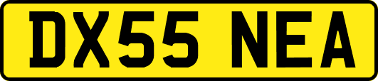 DX55NEA