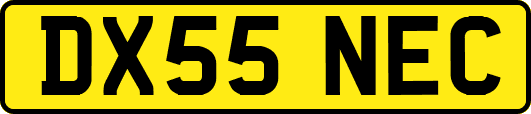 DX55NEC