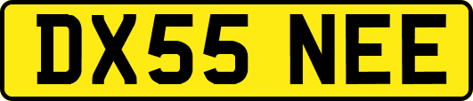 DX55NEE