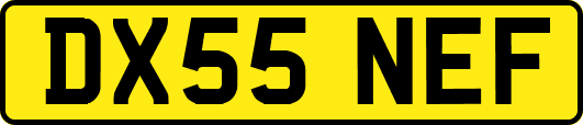 DX55NEF