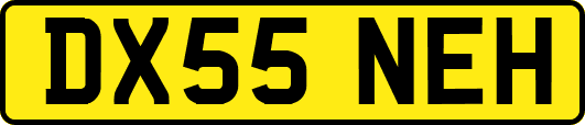 DX55NEH