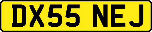 DX55NEJ
