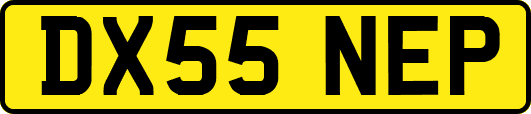DX55NEP