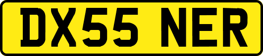 DX55NER
