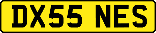 DX55NES