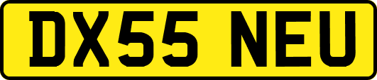 DX55NEU