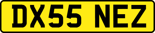 DX55NEZ