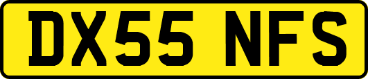 DX55NFS