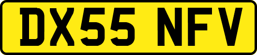 DX55NFV
