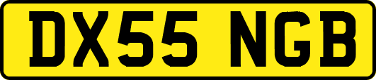 DX55NGB