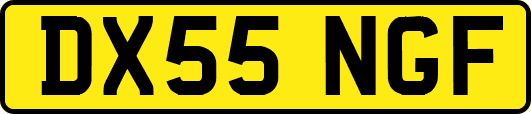 DX55NGF