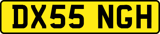 DX55NGH