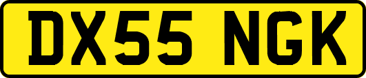 DX55NGK