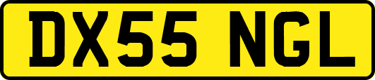 DX55NGL