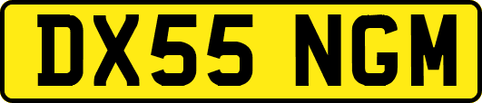 DX55NGM
