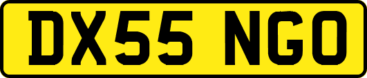 DX55NGO