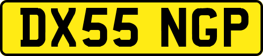 DX55NGP