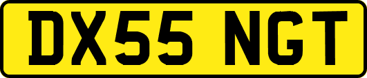 DX55NGT