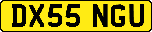 DX55NGU