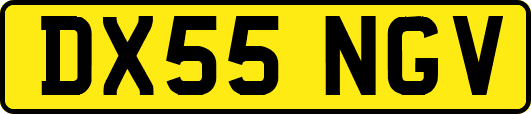 DX55NGV