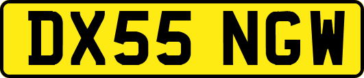 DX55NGW