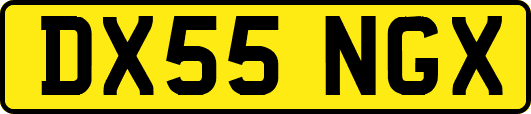 DX55NGX