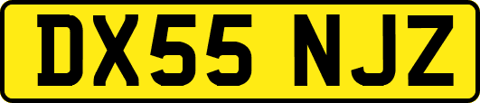 DX55NJZ