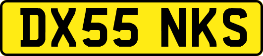 DX55NKS