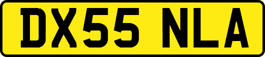 DX55NLA