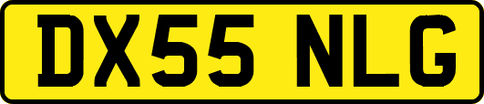 DX55NLG