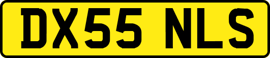 DX55NLS