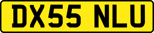 DX55NLU