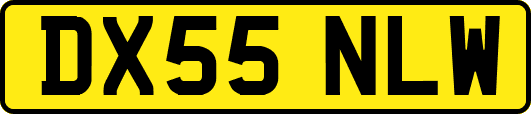 DX55NLW